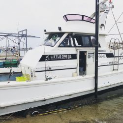 リトルワン 釣果