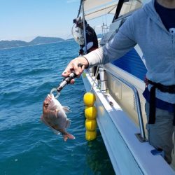 遊漁船　ニライカナイ 釣果