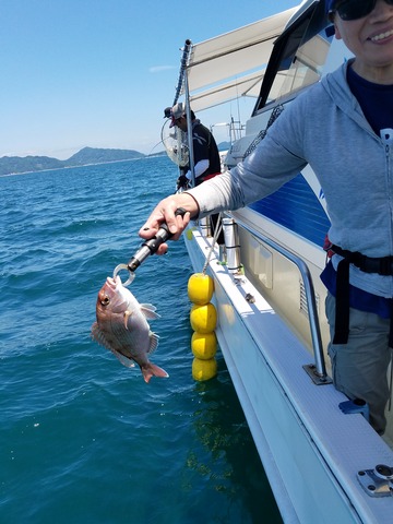 遊漁船　ニライカナイ 釣果