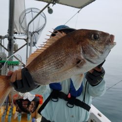 遊漁船 ニライカナイ 釣果