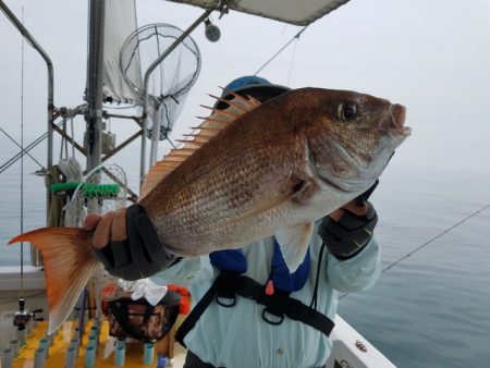 遊漁船 ニライカナイ 釣果
