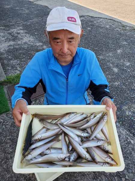 桑田観光 釣果