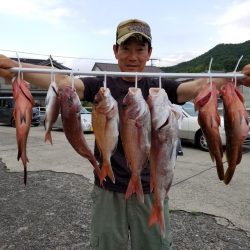桑田観光 釣果