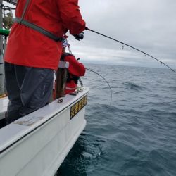 遊漁船 ニライカナイ 釣果