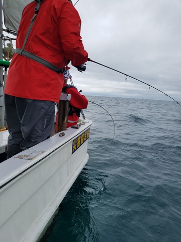 遊漁船 ニライカナイ 釣果