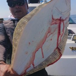 スカイマリン 釣果