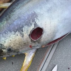 へいみつ丸 釣果