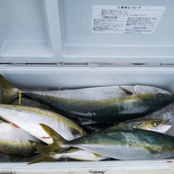 遊漁船 ニライカナイ 釣果