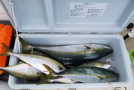 遊漁船 ニライカナイ 釣果