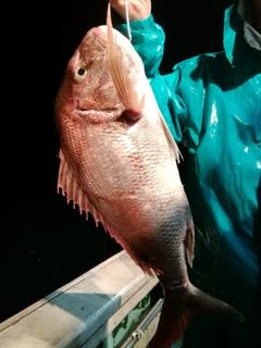 松福丸 釣果