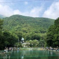 フィッシング サンクチュアリ 釣果