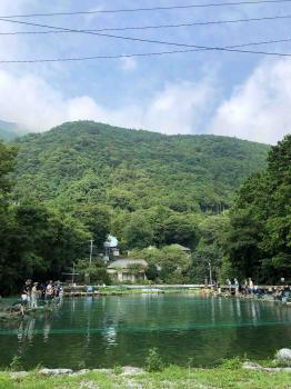 フィッシング サンクチュアリ 釣果