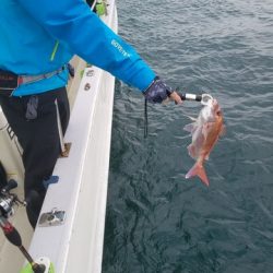 遊漁船　ニライカナイ 釣果