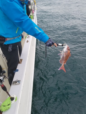 遊漁船　ニライカナイ 釣果