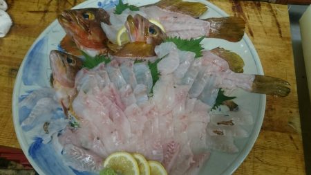 リトルワン 釣果
