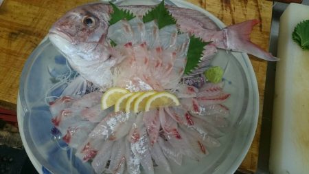 リトルワン 釣果