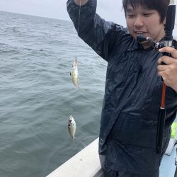 リトルワン 釣果