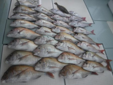 遊漁船 幸友丸 釣果