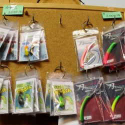 小菅トラウトガーデン 釣果