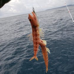 たいし丸 釣果