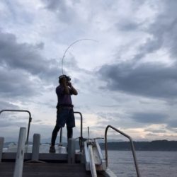 たいし丸 釣果