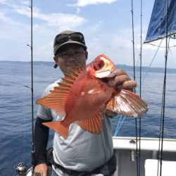 たいし丸 釣果