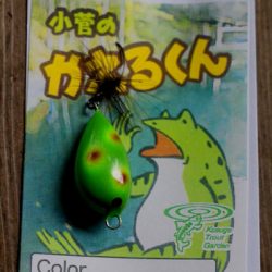 小菅トラウトガーデン 釣果