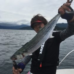 シーモンキー 釣果