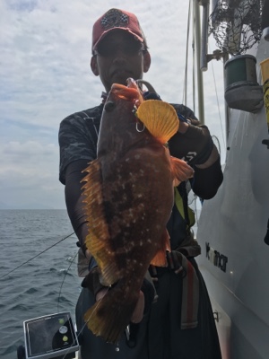 シーモンキー 釣果