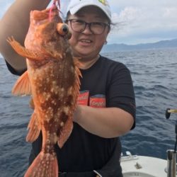 シーモンキー 釣果