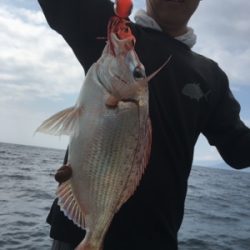 シーモンキー 釣果