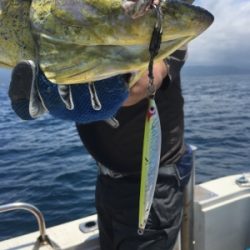 シーモンキー 釣果