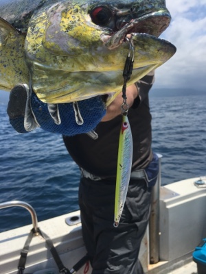 シーモンキー 釣果