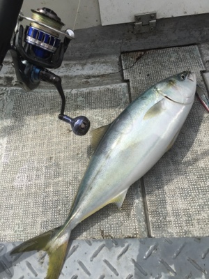 シーモンキー 釣果