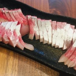 シーモンキー 釣果