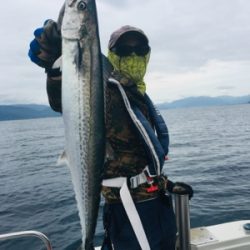 シーモンキー 釣果