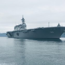 シーモンキー 釣果