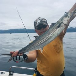 シーモンキー 釣果