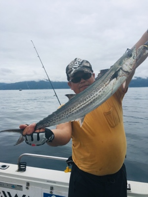 シーモンキー 釣果