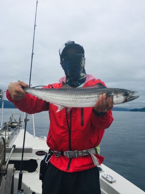 シーモンキー 釣果