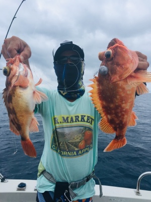 シーモンキー 釣果