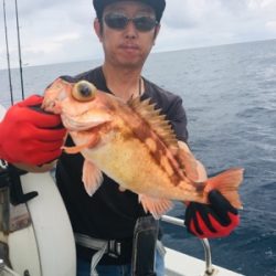 シーモンキー 釣果