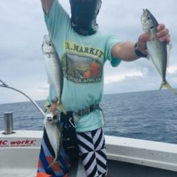 シーモンキー 釣果