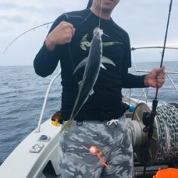 シーモンキー 釣果