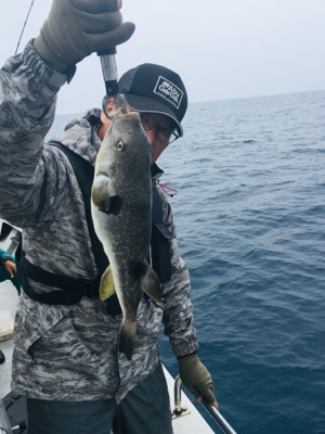 シーモンキー 釣果