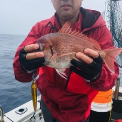 シーモンキー 釣果