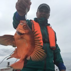 シーモンキー 釣果