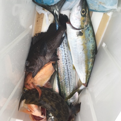 シーモンキー 釣果