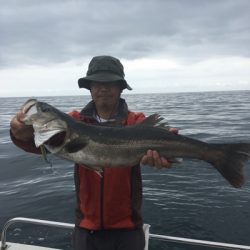 シーモンキー 釣果