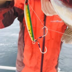 シーモンキー 釣果